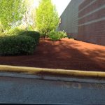 Mulch landscape?