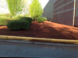 Mulch landscape?