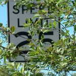 Tree Blocking Sign