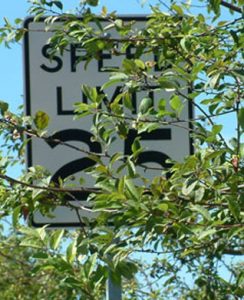 Tree Blocking Sign