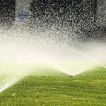 Watering a lawn