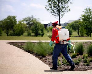 Spreading chemicals on lawn